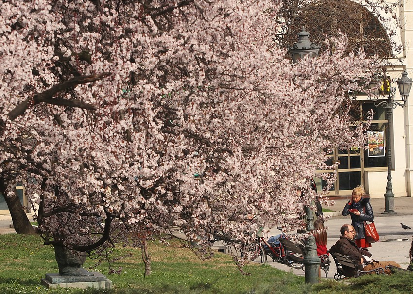 Proleće u Novom Sadu