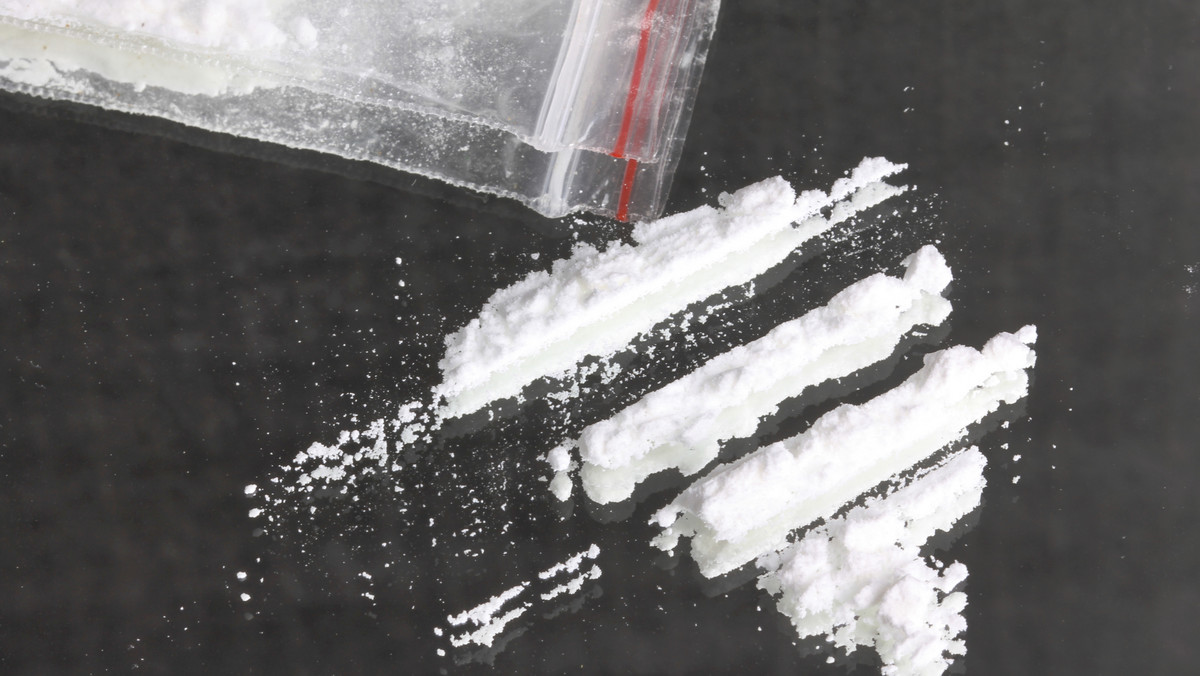 Ponad 20 kilogramów proszku zawierającego – jak wykazały wstępne badania – kokainę, znaleźli funkcjonariusze celno-skarbowi w kontenerze-chłodni, który przypłynął do Gdańska z Ameryki Południowej. Wartość narkotyku oszacowano na około 4 mln zł.