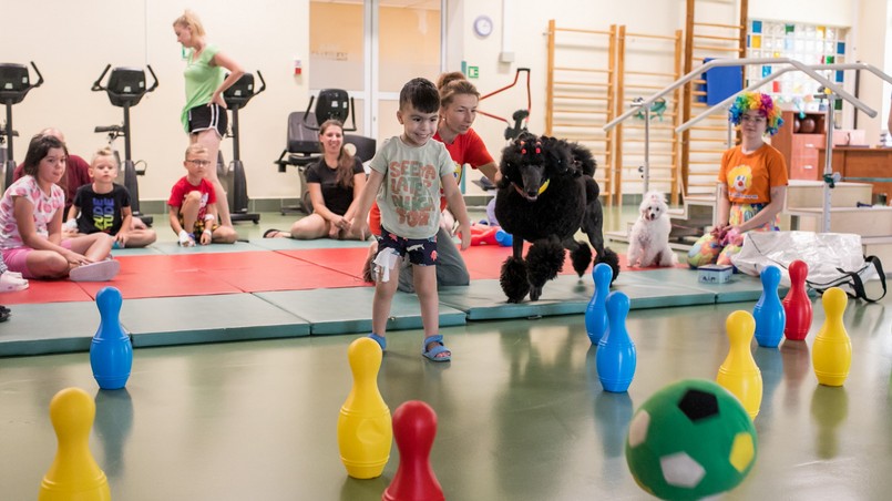 zwierzęta, adopcja, edukacja