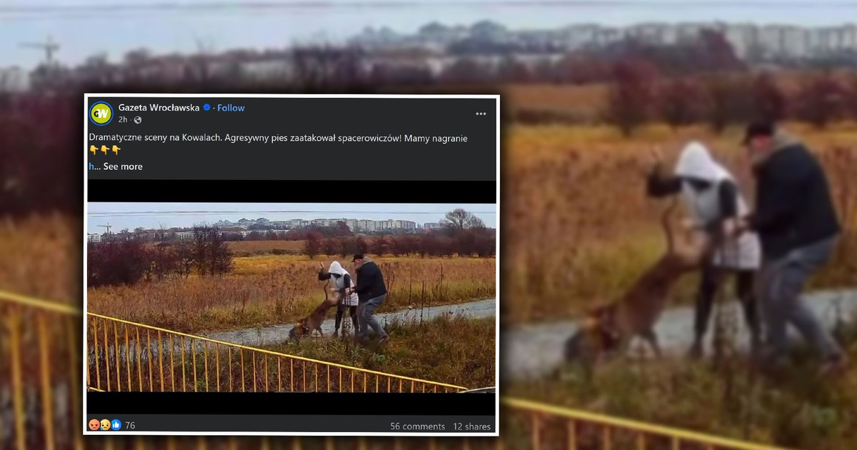 To miał być spokojny jesienny spacer. Nagle w ich kierunku zaczął biec wściekły pies