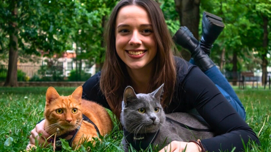 A macskák szerepe a mentális egészség megőrzésében