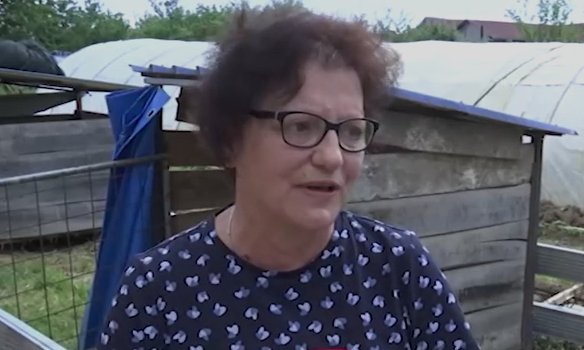 Porodica Miladinović