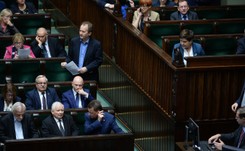 'FAS': Polski rząd swoją retoryką przekracza regularnie granice przyzwoitości. Prof. Krasnodębski: Artykuł krzywdzący