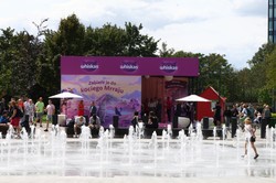 Kiedy kot mówi: „kocham Cię”. Co zdradzają jego gesty, mruczenie i osobowość?