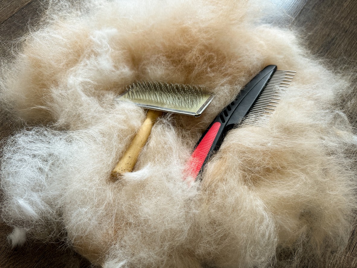 Trik, ktorý nič nestojí: chumáč srsti domácich miláčikov na povale dokáže kuny odplašiť rýchlejšie než drahé prípravky.