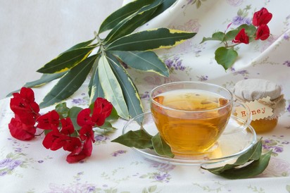 Nem is gondolná, mire képes a babérlevél tea! Így készítse el