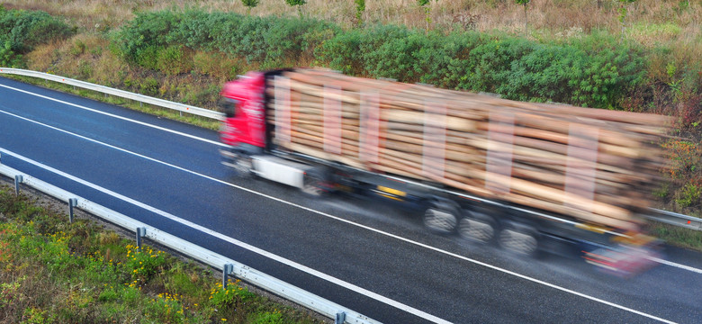 Akcja Inspekcji Transportu Drogowego wymierzona w ciężarówki transportujące drewno