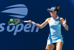 Belinda Bencic spodziewa się dziecka