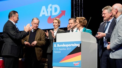 AfD party conference