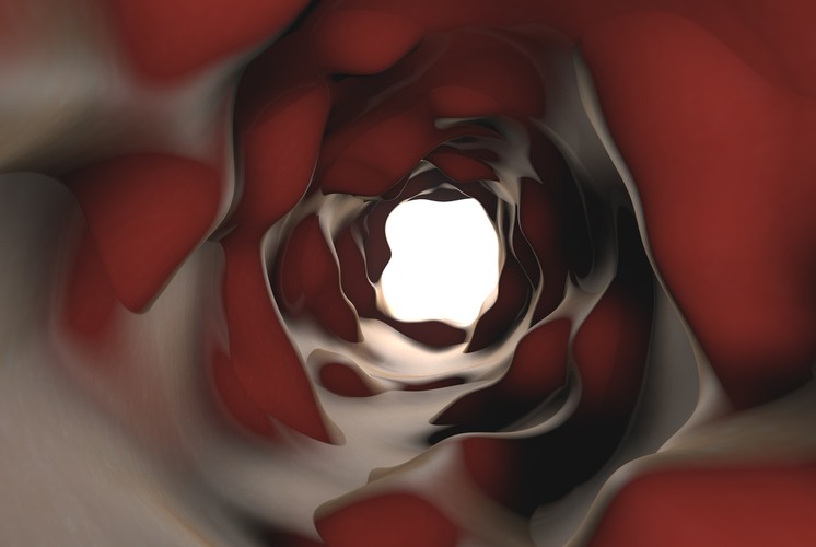 Ciekawostki na temat waginy