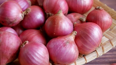 cebula – niepozorne warzywo o wielkiej mocy. jak ją wybierać, kroić i