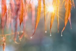 Najpierw zimno i śnieg a potem nawet 17 stopni. Czeka nas diametralna zmiana pogody