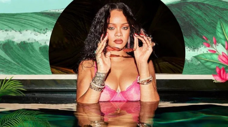 Rihanna büszke lehet, nemcsak szexik a fehérneműi, de még jól is keres velük  /Fotó: Northfoto