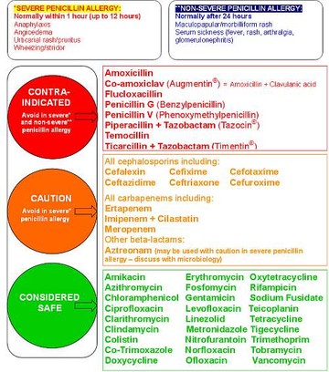 penicllin-allergia-kis-d00001F7119a344d8caeb