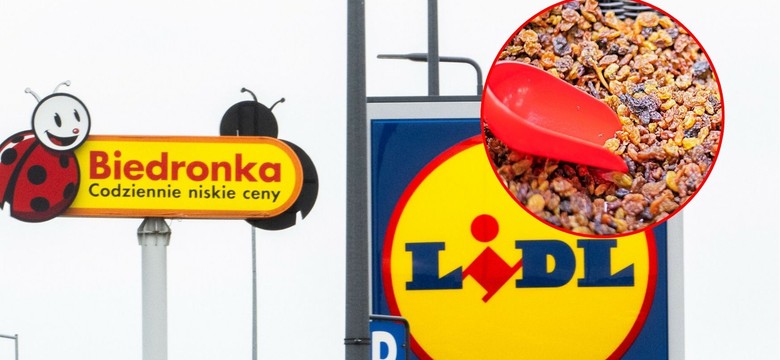 Przebadali rodzynki z Lidla i Biedronki. Wyniki są zatrważające