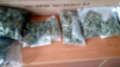 Prudnik: policjanci znaleźli pół kilo marihuany