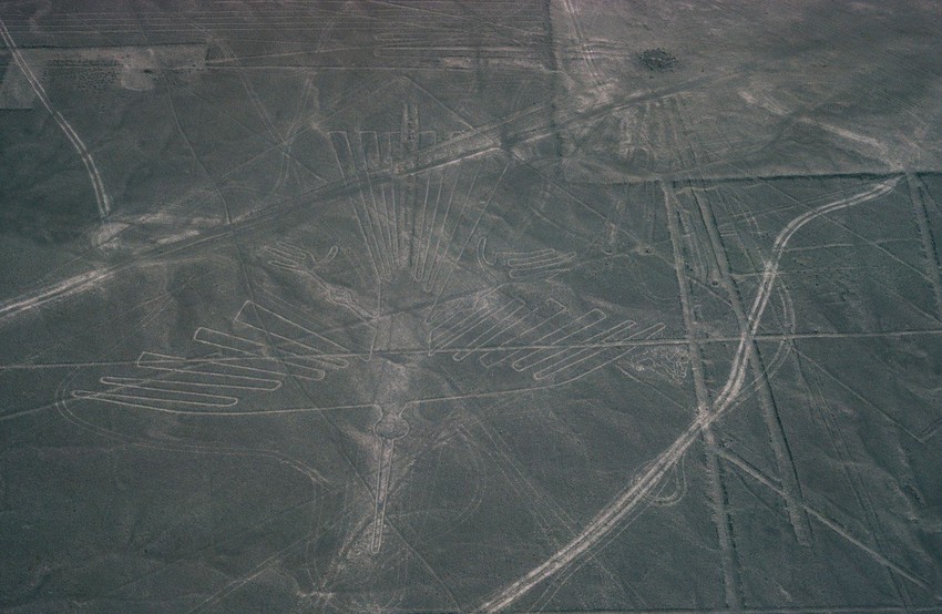 Jedan od oblika koji prave Naska linije je i kondor