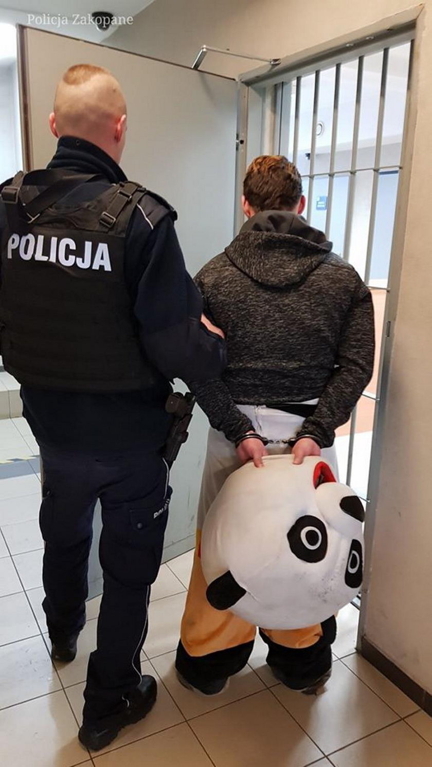 Zakopiańska policja zatrzymała... pandę