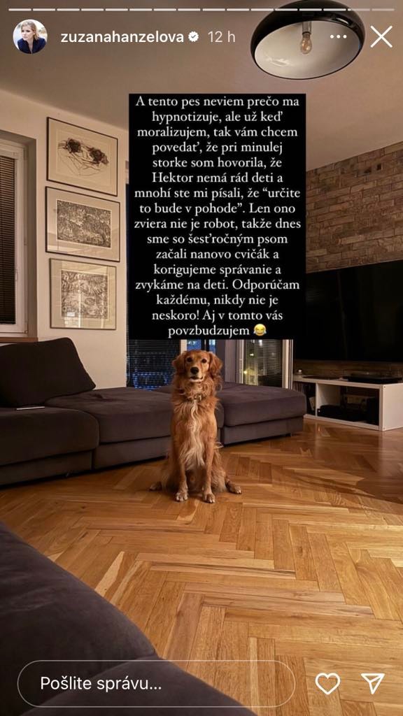 Na príchod nového člena rodiny pripravujú aj domáceho miláčika.