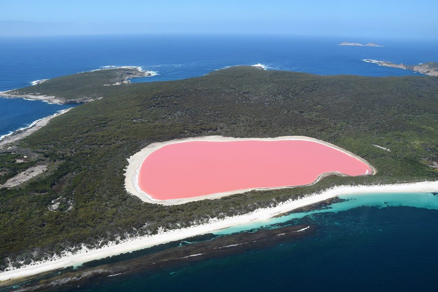 Fot. Jezioro Hillier: symbol Australii, położone na Middle Island, niedaleko Esperance w Australii Zachodniej. Źródło: matteo_it/Shutterstock