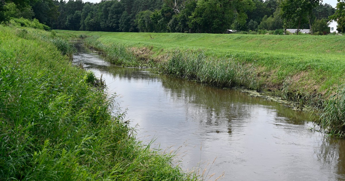 Dramatyczne zgłoszenie postawiło służby na nogi. Dwie godziny później potwierdziło się najgorsze