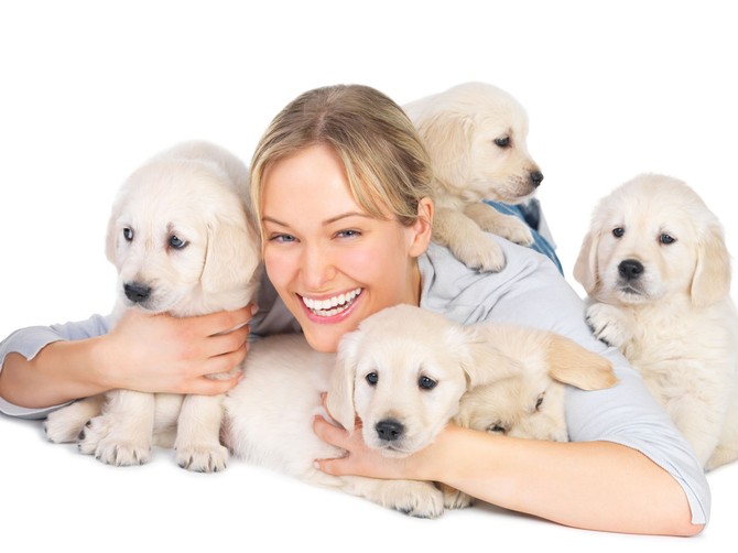 5074_shutterstock_10390495-kuce