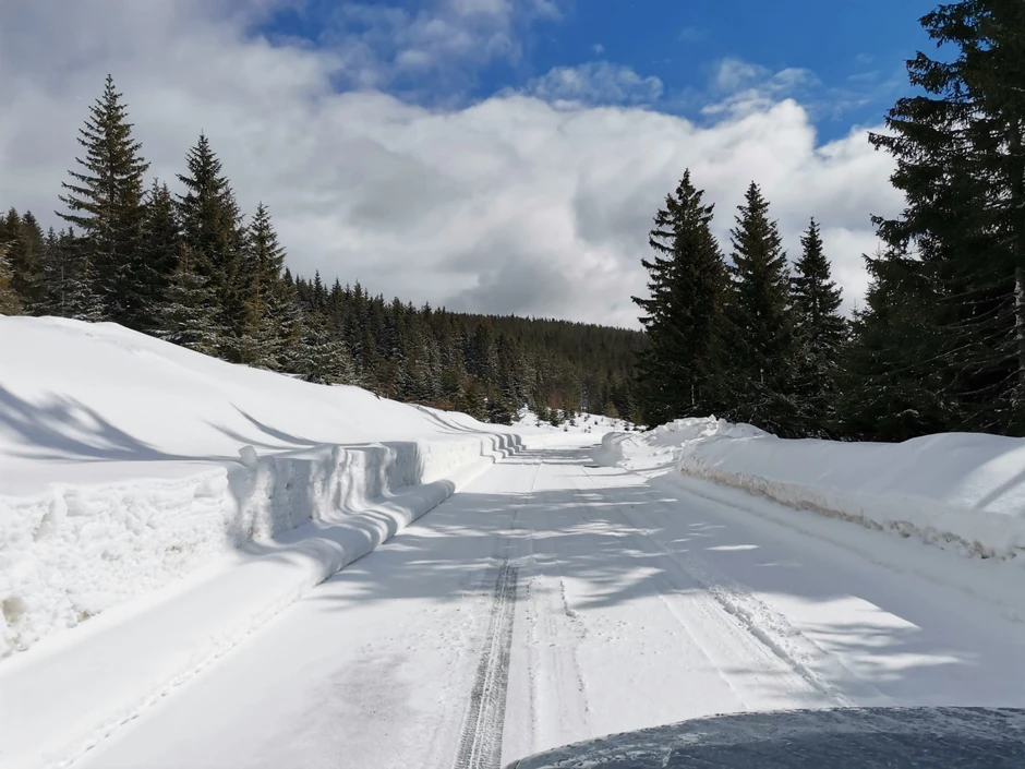Nestvarni prizori na planini Goliji
