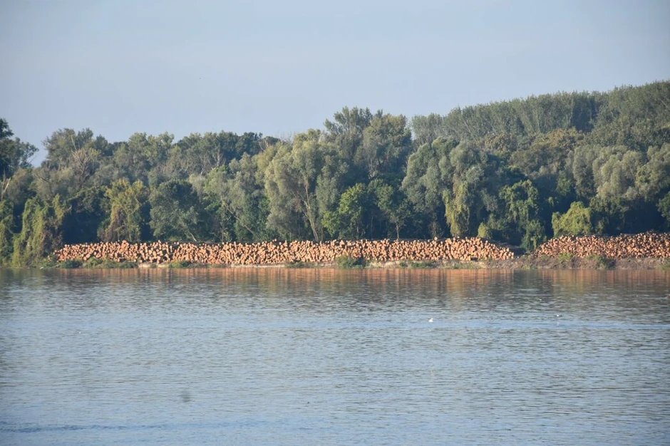 Apatin, balvani na Dunavu