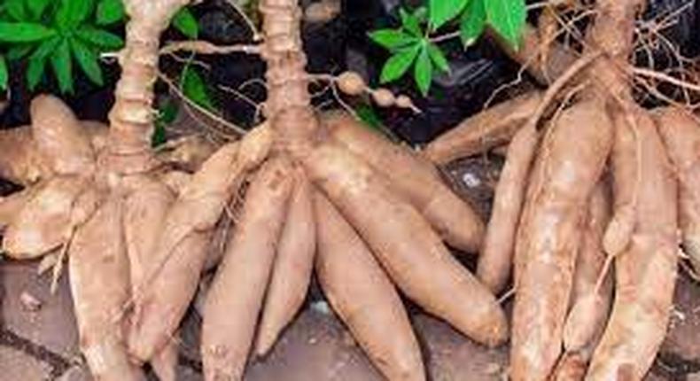 3 ex-convicts sentenced to 18 months imprisonment for stealing cassava worth GHC1,800