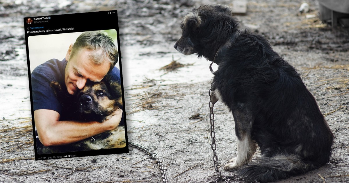 Wymowny wpis premiera Tuska po decyzji Sejmu. "Wreszcie!"