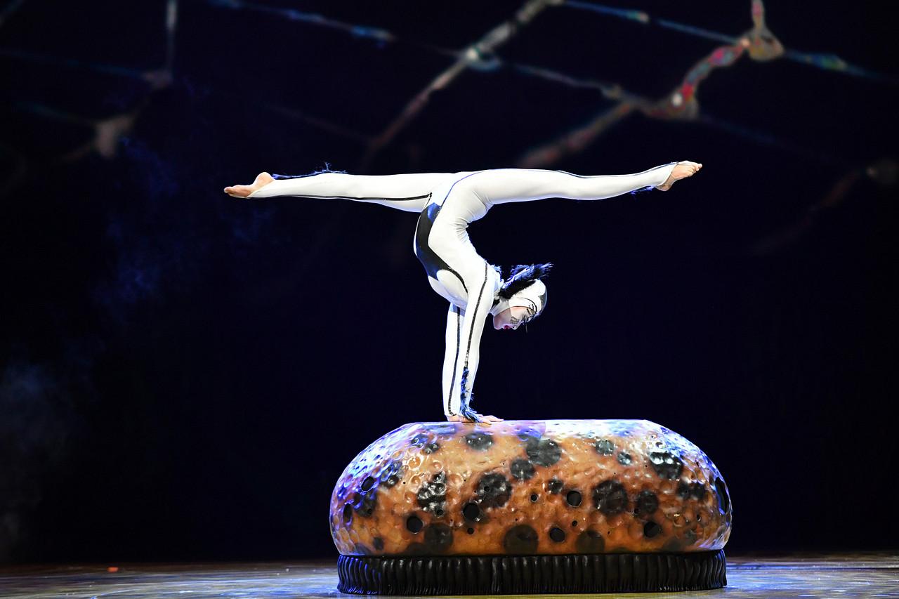 Fotografia z vystúpenia Cirque du Soleil - OVO.