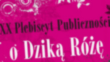 Teatralny plebiscyt "O Dziką Różę" rozstrzygnięty