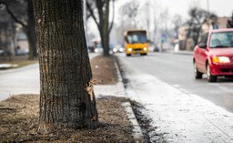 Prokuratura: Winnym wypadku z udziałem premier - Sebastian K. Śledztwo do umorzenia