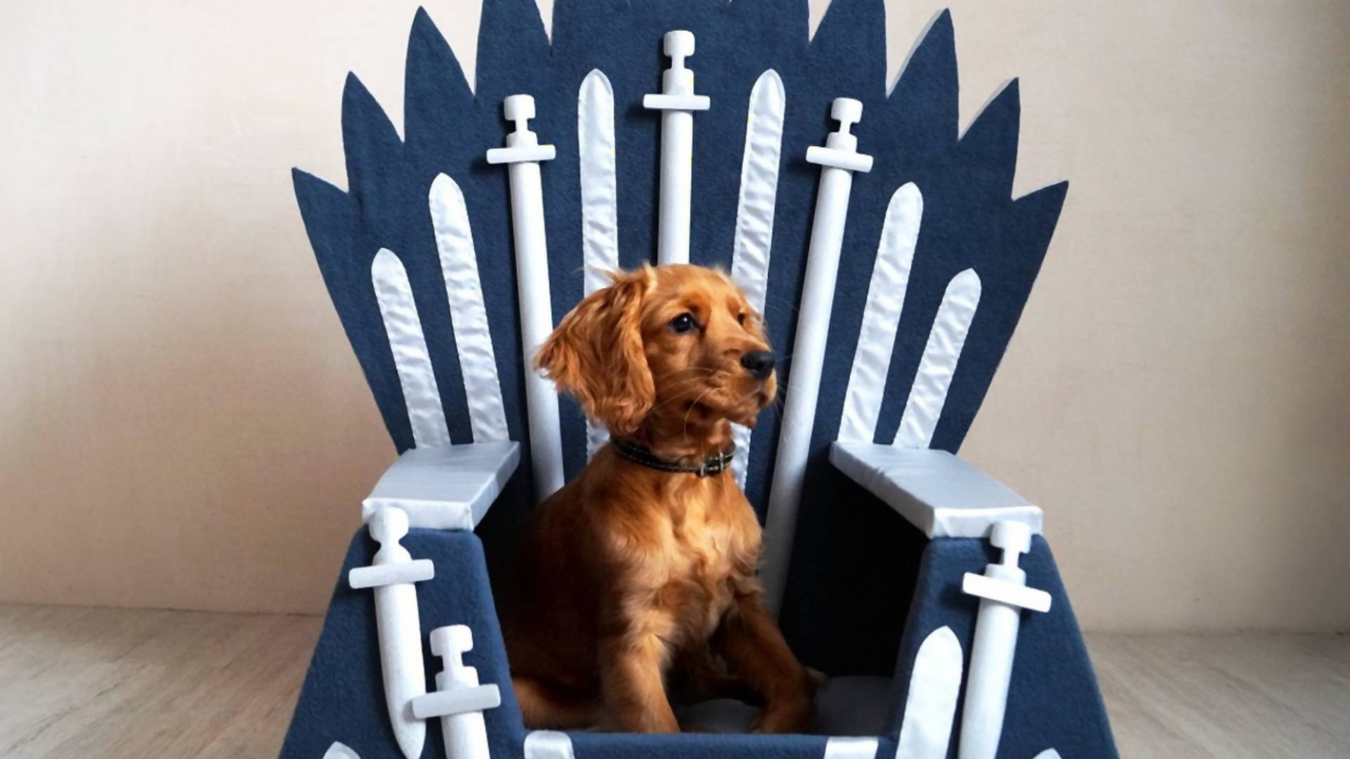 Den „Game of Thrones“Thron gibt�s jetzt für Hunde und Katzen