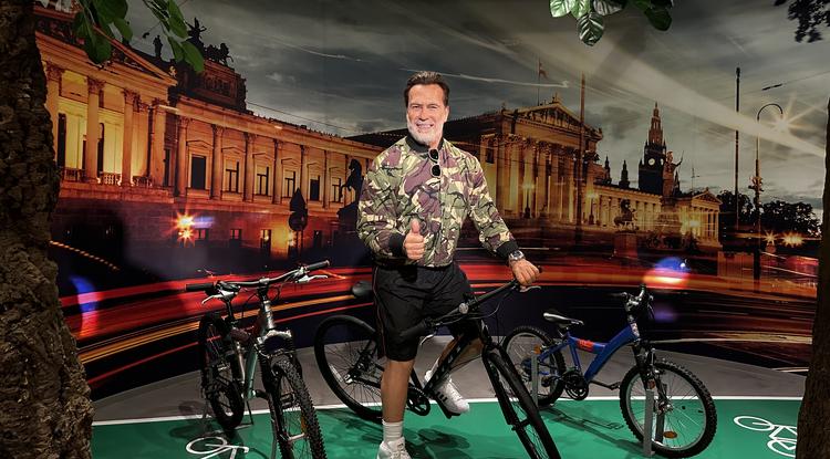 Kolléganőnk találkozott Arnold Schwarzenegerrel, nem hiszed el, mit csináltak együtt Fotó: Vízer Helga
