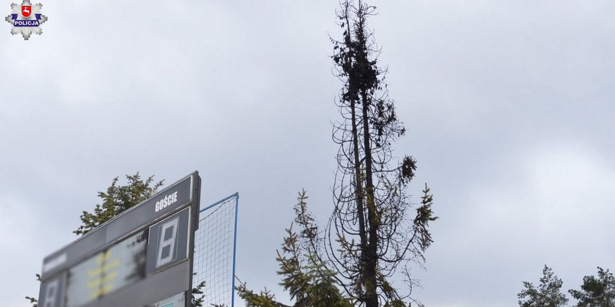Dzieci podpaliły drzewo na stadionie.