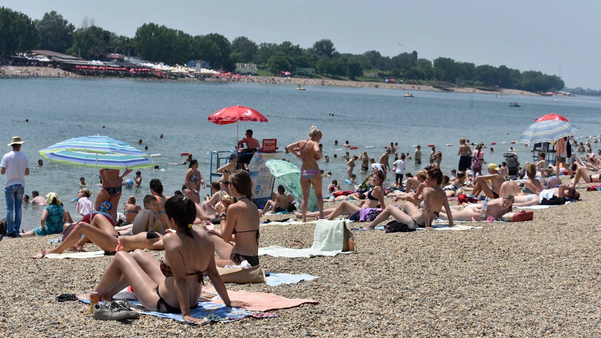 Kon objasnio kako se širi zaraza koronom na Adi: evo šta se desi kad odete na kupanje