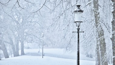 ferie zimowe 2026 wystartowały. o tych obowiązkach muszą pamiętać orga