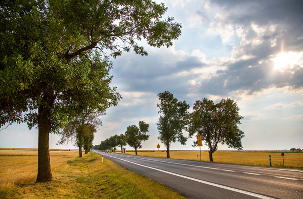 Drogi zdegradowane przez autostrady. Trasy gminne jak kukułcze jajo