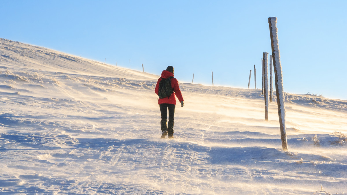 Z prędkością ponad 80 km/godz. wieje wiatr powyżej górnej granicy lasu w Bieszczadach - poinformował we wtorek rano ratownik dyżurny bieszczadzkiej grupy GOPR Paweł Szopa.