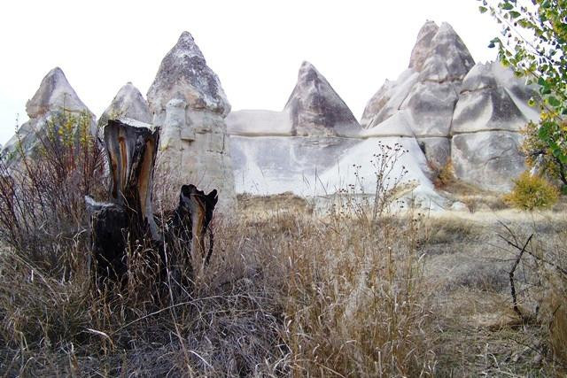 Galeria Turcja - Kapadocja - Dolina Göreme, obrazek 30