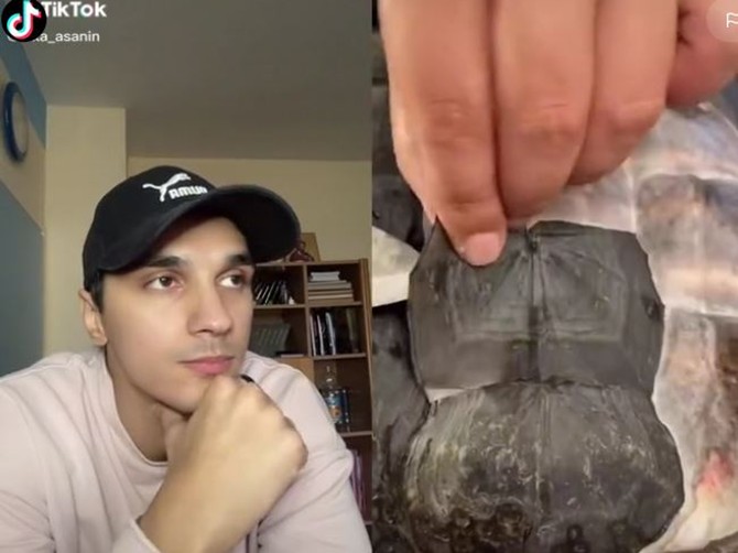 tiktok2