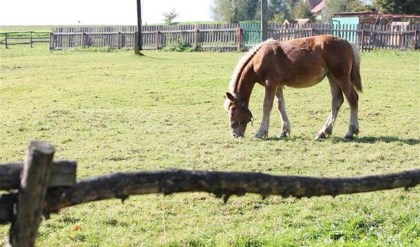 Ksiądz powiesił się w kościele