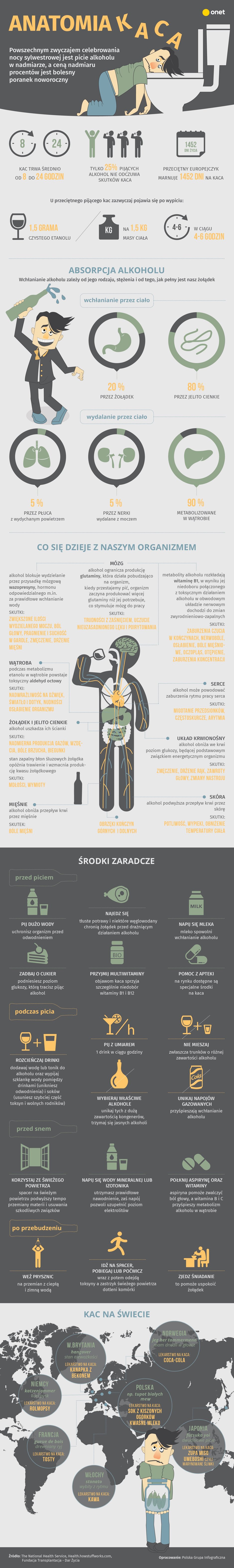 Anatomia kaca [INFOGRAFIKA]