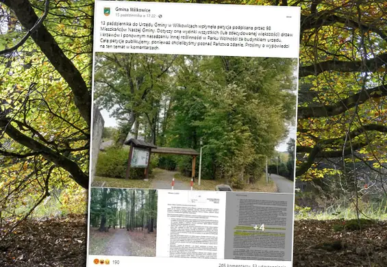 Mieszkańcy wnioskują o wycięcie parku. "Kuriozalne argumenty"