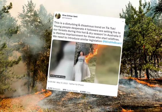 Podpalają lasy dla zasięgów? Przerażający trend na TikToku. "Ogień wybucha, gdziekolwiek pójdę"