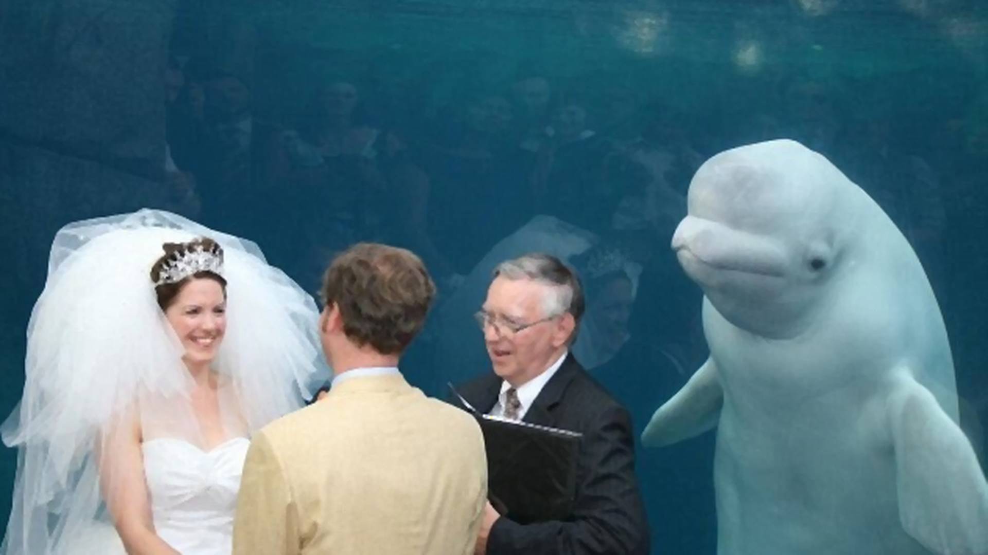 Nezvani gost na venčanju postao hit na internetu