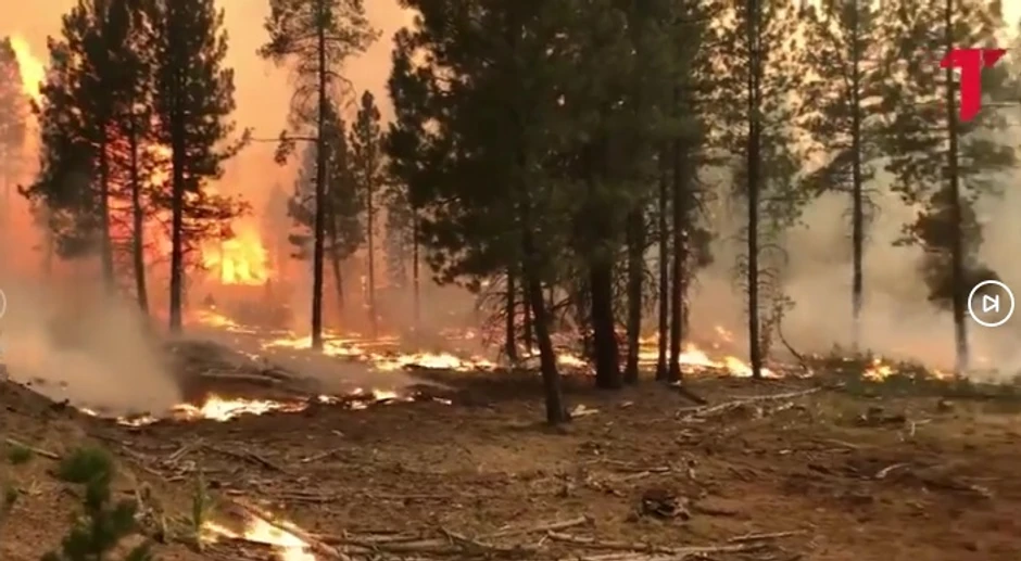 Požar kod Šibenika