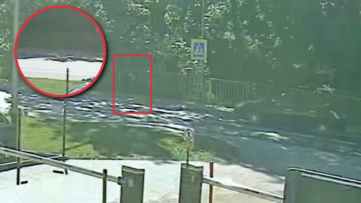Nastolatka wbiegła prosto pod samochód. Wstrząsające zachowanie kierowców. Policja pokazała film