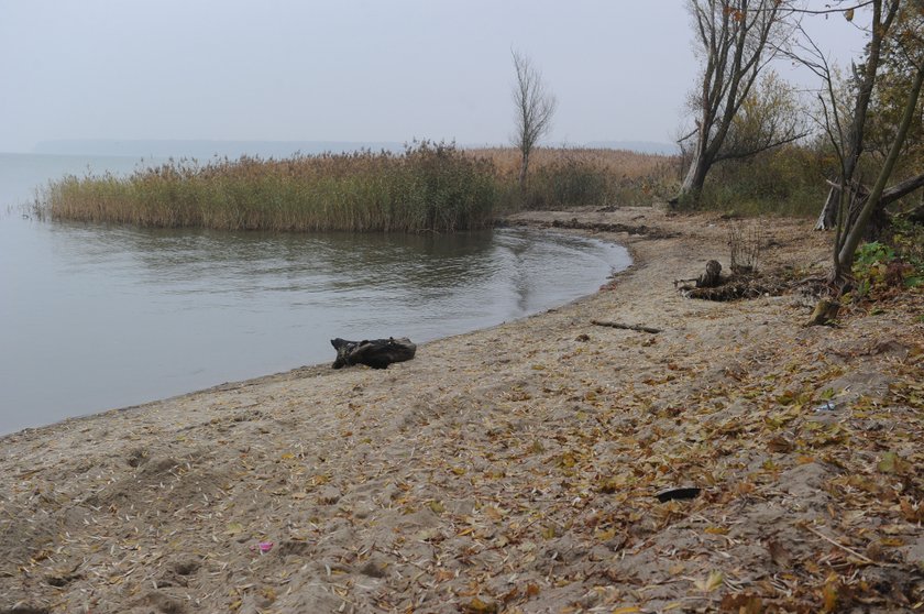 Porzuciła martwe dziecko nad zalewem. Była poczytalna?